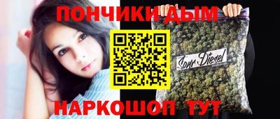 шишки Ставрополь