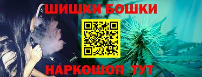 шишки Ставрополь