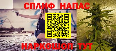 шишки Ставрополь