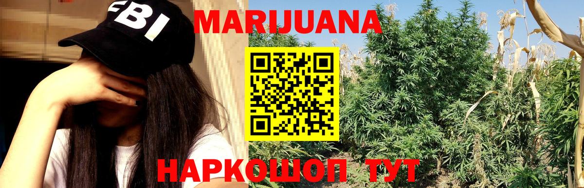 Марихуана план  Бошки марихуана тримм  МАРИХУАНА семена  Орск  Вход с VPN 